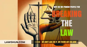 The Complex Justification: Punishing Lawbreakers