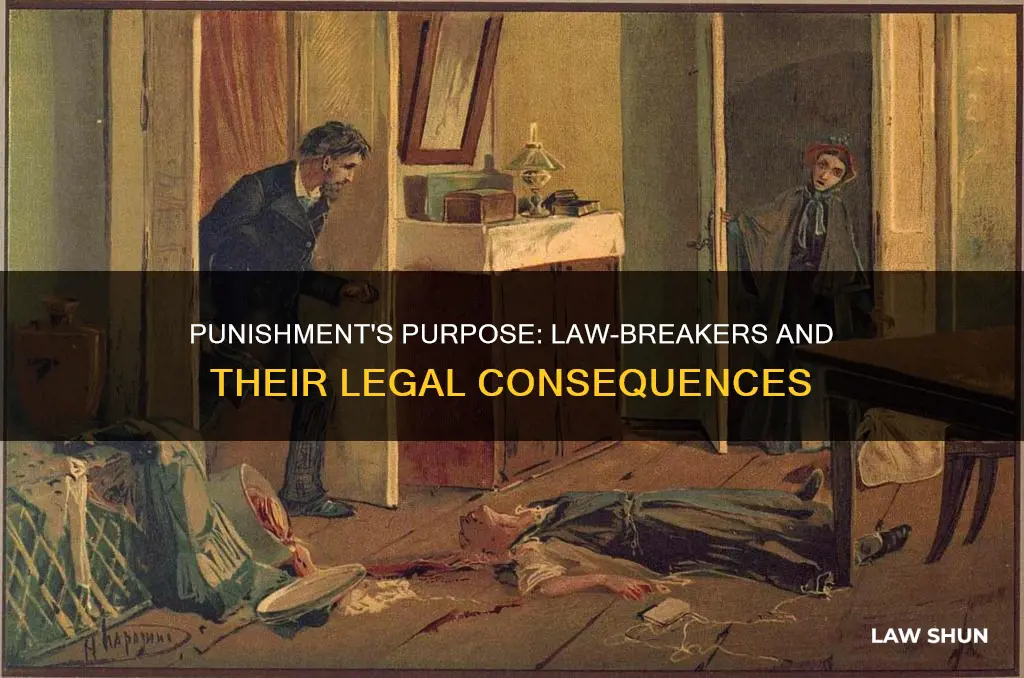 why do we punish people for breaking the law