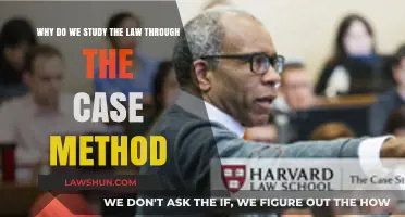 The Case Method: Law's Practical Learning