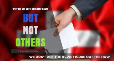 Direct Democracy vs. Representative Rule: Why Some Laws Go to the Ballot