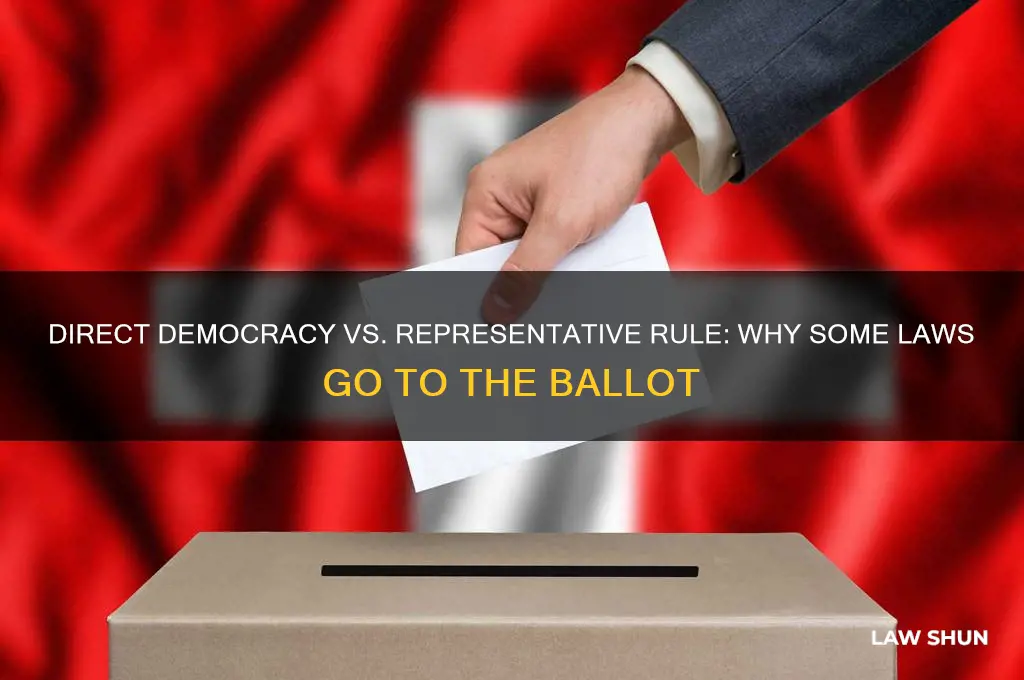 why do we vote on some laws but not others