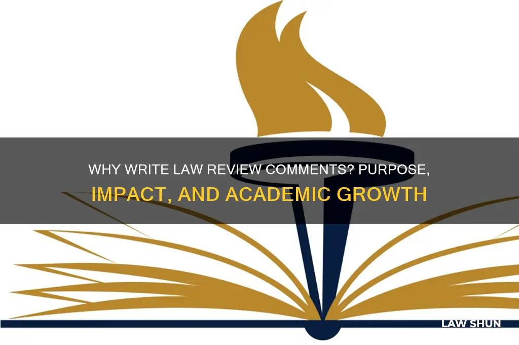 why do we write law review comments