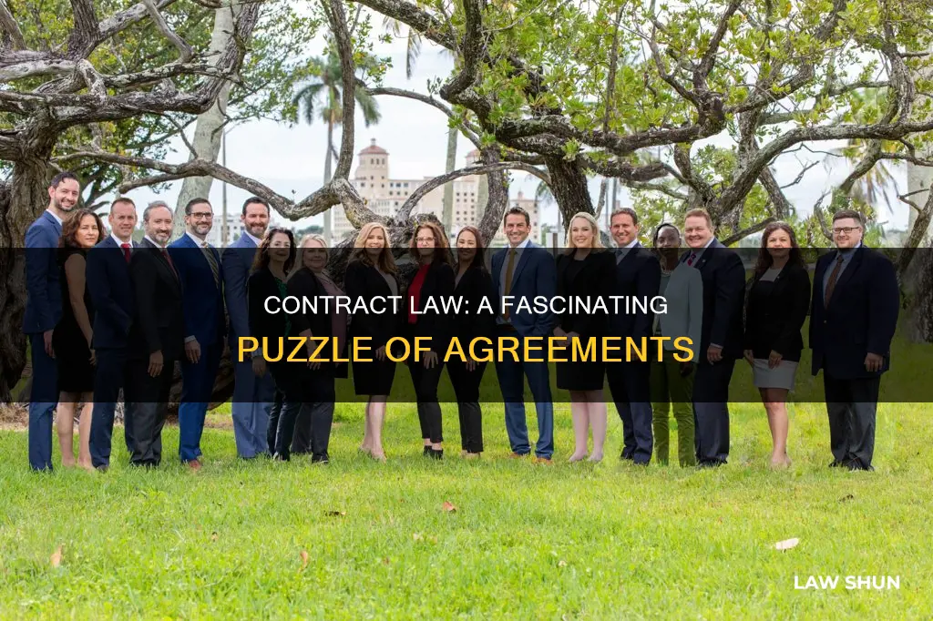 why do you enjoy contract law
