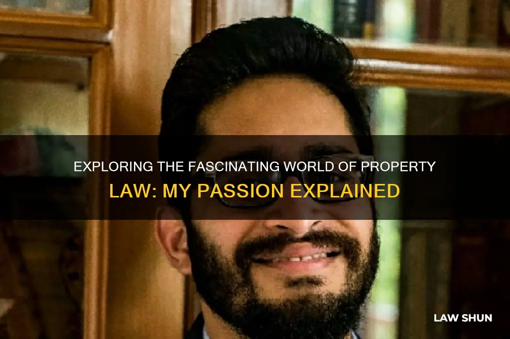 why do you like property law