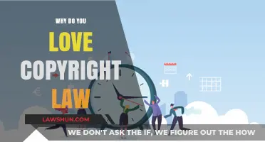 Why Copyright Law Sparks Passion: Protecting Creativity and Innovation