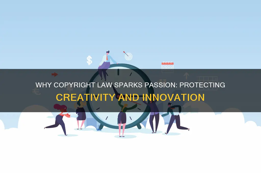 why do you love copyright law