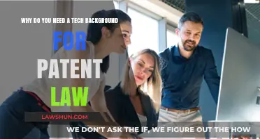Tech Expertise: A Must-Have for Modern Patent Law Practice