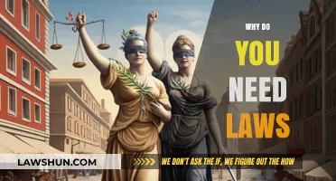 Why Laws Matter: Ensuring Order, Justice, and Societal Harmony