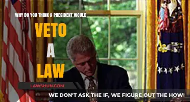 Why Presidents Veto Laws: Power, Policy, and Constitutional Checks