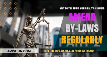 Regular By-Law Amendments: Ensuring Municipal Relevance and Community Progress