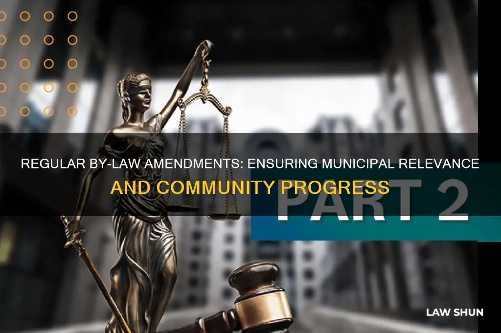 why do you think municipalities should amend by-laws regularly