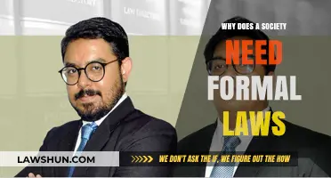 Why Formal Laws Are Essential for Social Order and Stability