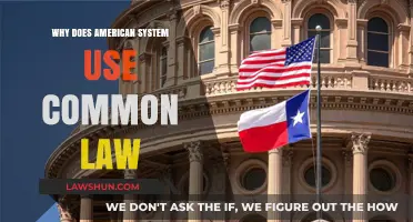 The American System: Common Law's Legacy