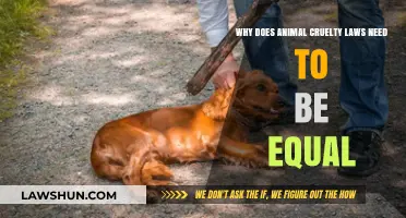 Equal Justice for All Creatures: Why Animal Cruelty Laws Must Be Fair