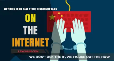 China's Internet Censorship: Understanding the Strict Laws and Their Impact