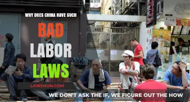 China's Labor Laws: Exploitative Practices and Their Global Impact
