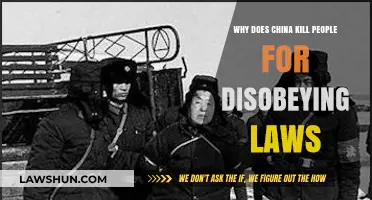 China's Harsh Legal System: Understanding Capital Punishment for Disobedience