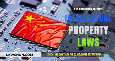 China's Intellectual Property Enigma: Unraveling the Absence of IP Laws