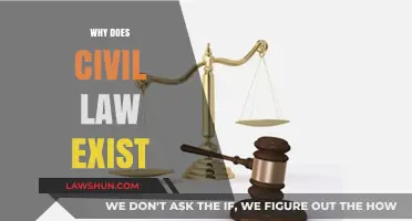 Understanding Civil Law: Its Purpose, Importance, and Role in Society