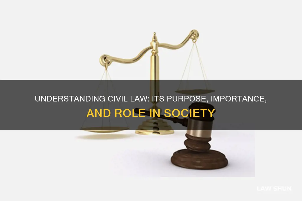 why does civil law exist