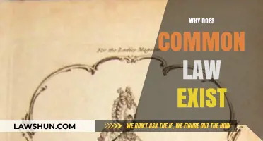 Common Law: Why Does It Exist?