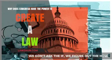 The Law-Making Power of Congress Explained