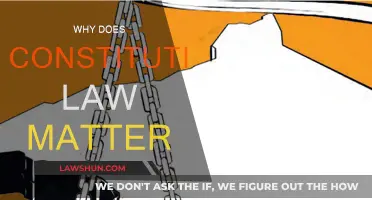 Constitutional Law: Foundation of Our Freedoms and Rights