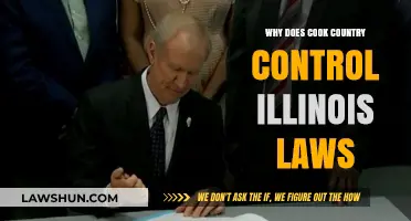 Why Cook County Dominates Illinois Lawmaking and Policy Decisions