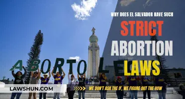 El Salvador's Abortion Laws: Strict and Controversial