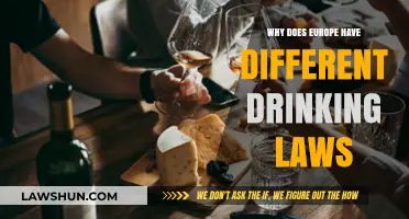 Drinking Laws: Europe's Unique Cultural Norms Explained