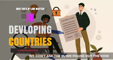 Intellectual Property Law: A Catalyst for Developing Nations' Growth