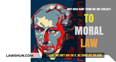 Kant's Moral Law: Understanding Our Obligation to Universal Ethics