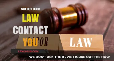 Why Labor Law Contacts You: Understanding Legal Reasons and Implications
