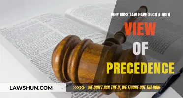 Why Precedent Reigns Supreme: The High Regard for Legal Precedence