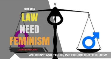 Why Law Needs Feminism: Equality, Justice, and Legal Transformation