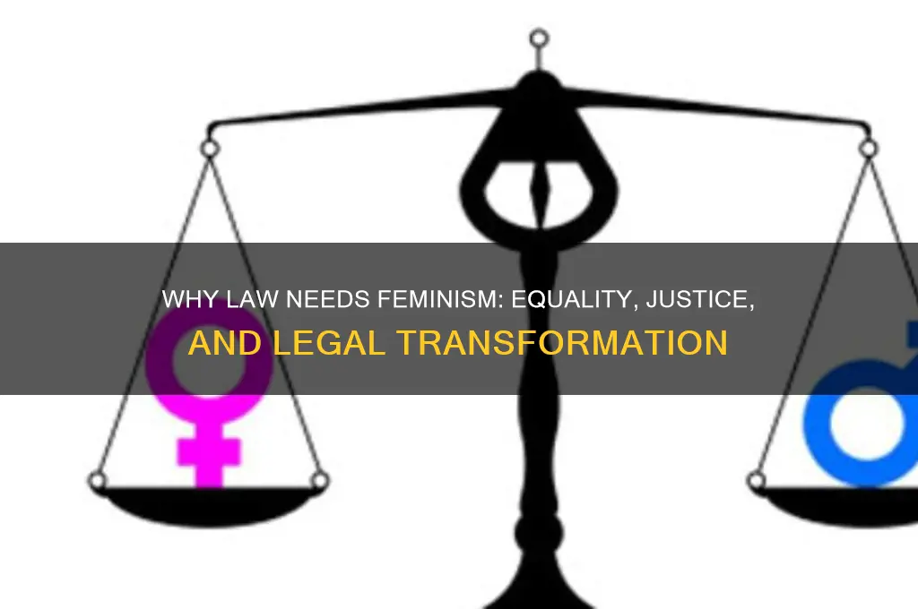 why does law need feminism