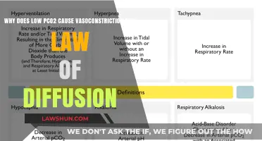 Low PCO2 Triggers Vasoconstriction: Exploring Fick's Law of Diffusion