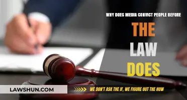Media's Rush to Judgment: Convicting Before Legal Verdicts