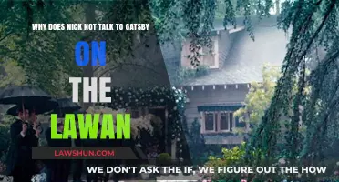 The Silence Between Nick and Gatsby: Unraveling the Lawn Encounter