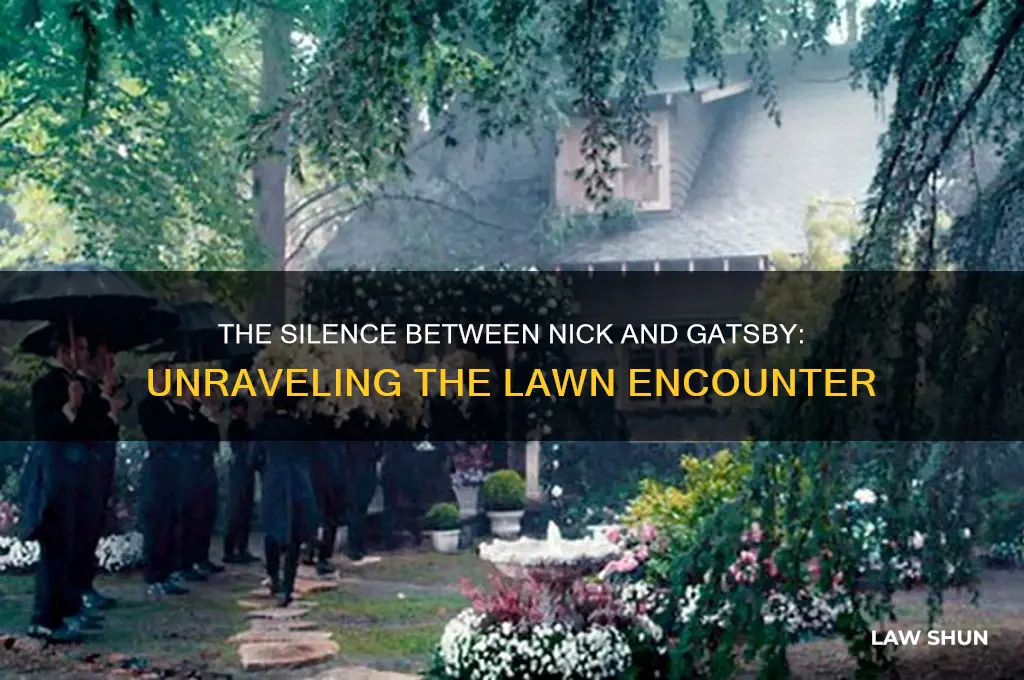 why does nick not talk to gatsby on the lawan
