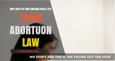 Why NY and Virginia Need Late-Term Abortion Laws: A Critical Analysis