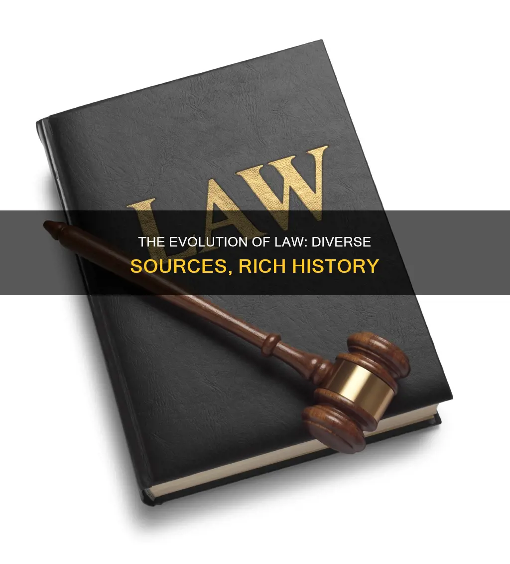 why does our law come from so many different sources
