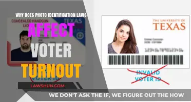 Photo ID Laws: Impact on Voter Turnout and Democracy
