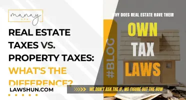 Real Estate Tax Laws: Why the Special Treatment?