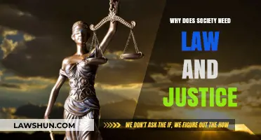 Upholding Order: The Vital Role of Law and Justice in Society