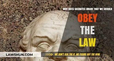 Socrates' Defense of Law: Why Obedience is a Moral Duty