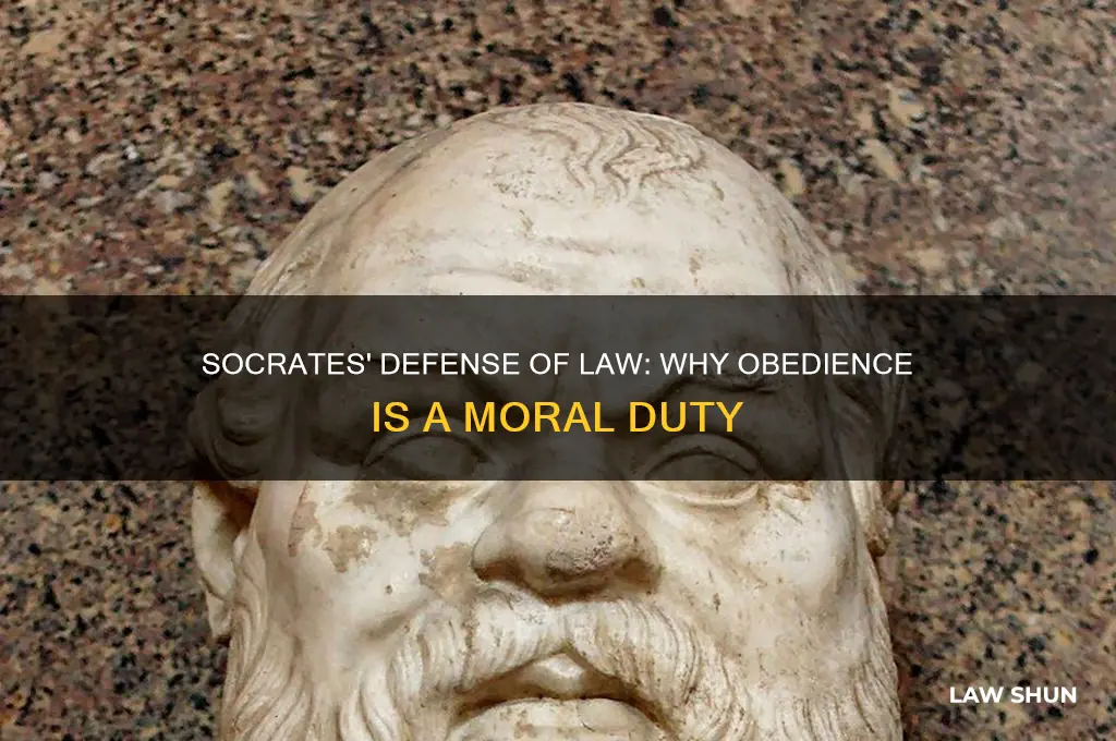 why does socrates argue that we should obey the law