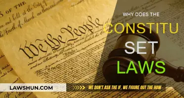 Constitution Laws: Foundation of Our Freedom