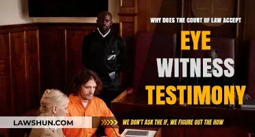 Why Courts Trust Eyewitness Testimony: Reliability and Legal Insights