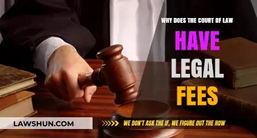 Understanding Legal Fees: Why Courts Charge for Justice and Services